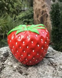 Strawberry XL