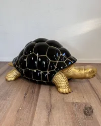 Turtle Gold/Silver - Color